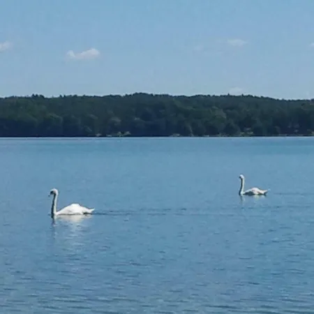 Holiday home Parchowski Mlyn Parchowo