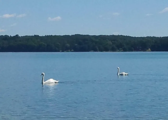 Holiday home Parchowski Mlyn Parchowo